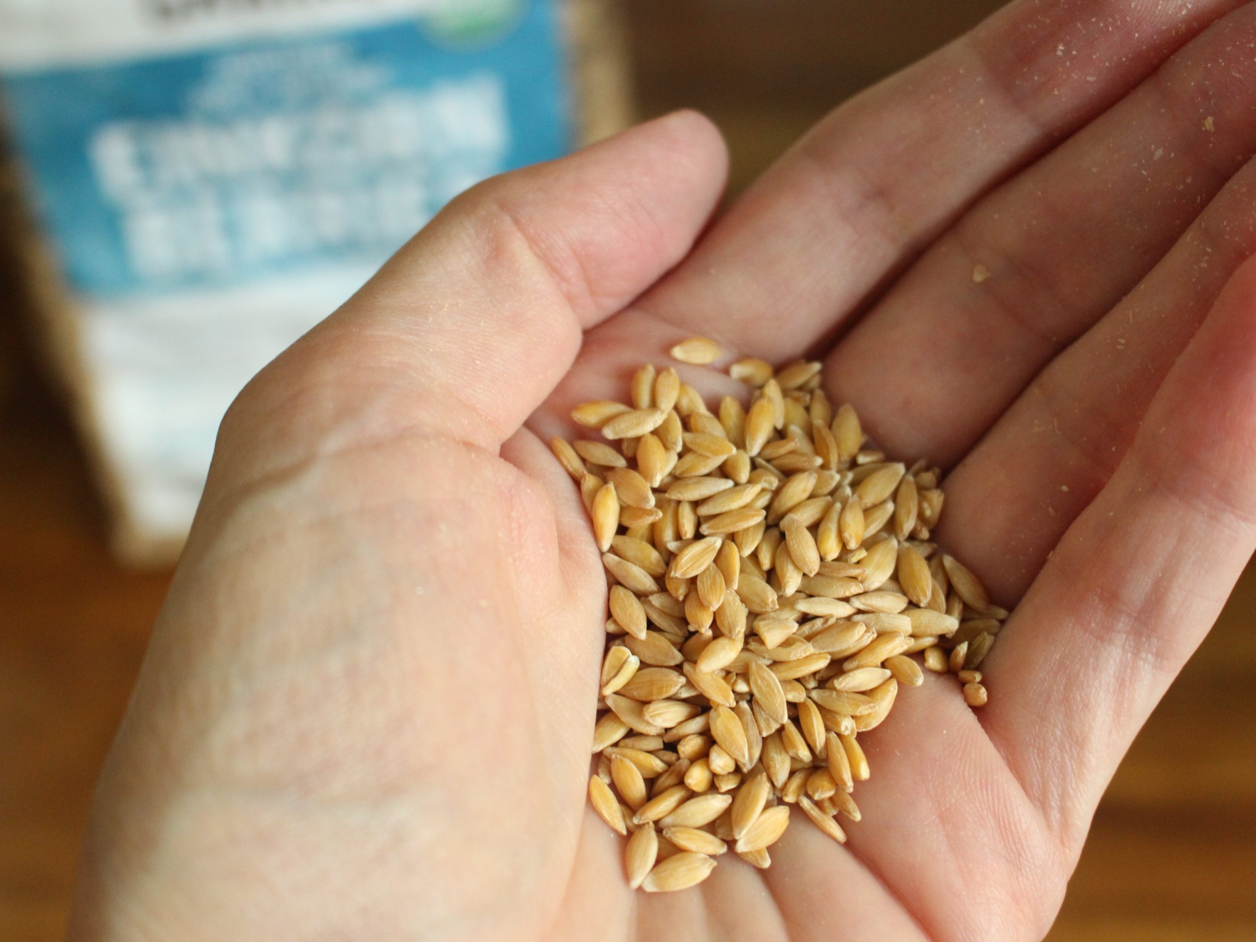 Whole Einkorn Berries